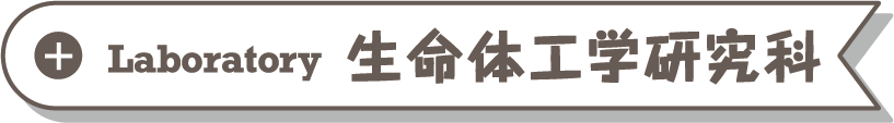 工学部