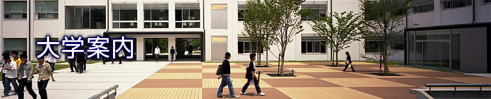 大学案内