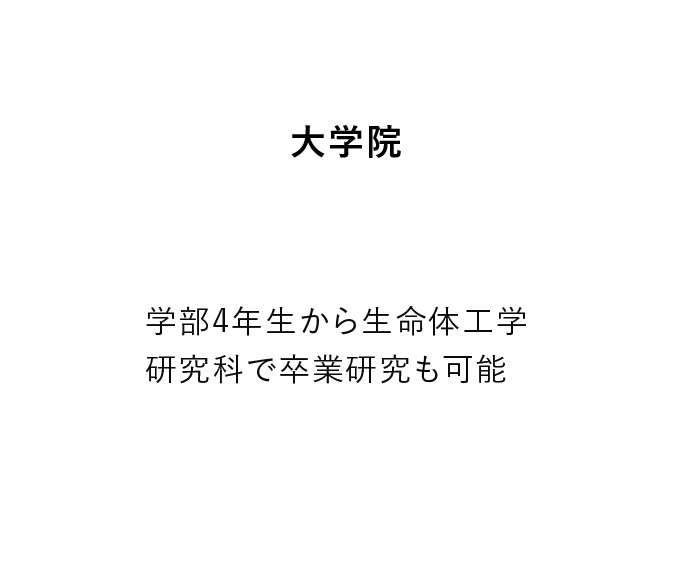 大学院