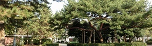 大学院入試・イベント